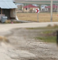 Sahipsiz köpekle ilgili sosyal medyada yer alan görüntülere ilişkin inceleme