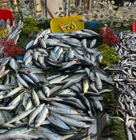 Sıcak hava balık bolluğunu azalttı