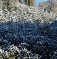 Soğuk hava dalgası Edirne'yi etkisi altına alacak