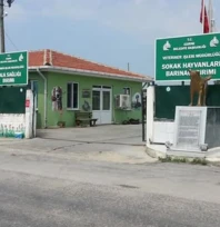 Sokak Köpeğini Sürükleyen Belediye Personeli Gözaltında