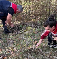 Süne ile mücadele çalışmaları sürüyor