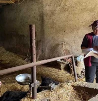 Tarım Müdürlüğü'nden hayvancılıkta sıkı takip