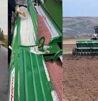 Yağışlar buğday ekimine bereket getirdi