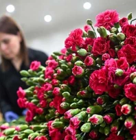 Yaman, 'Çırak yetişmezse meslek birkaç yıla yok olacak'