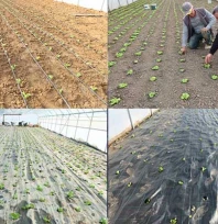 Yeni nesil seralar tarımsal üretime ivme kazandırdı