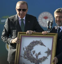 Yeşil Vatan için milyonlarca fidan dikildi