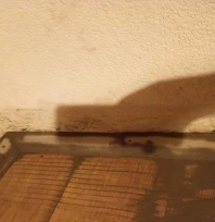 Yine yağış, yine su baskını