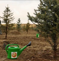 Yumaklı'dan vatandaşa çağrı: 'Şölen Havasında Fidan Dikelim'