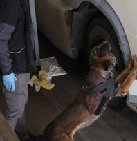 Zehir tacirlerine geçit yok