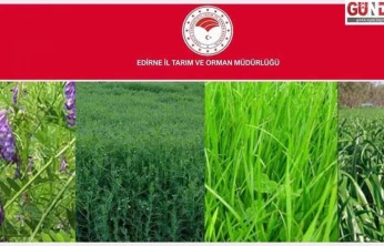 2025 yem bitkileri destek listeleri incelemeye açıldı