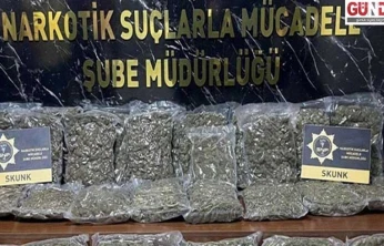 40 kilogram skunk ele geçirildi