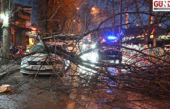 Ağaç park halindeki otomobilin üzerine devrildi