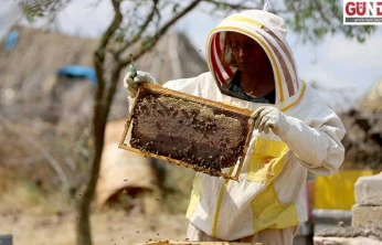 Arı yetiştiricilerine bilgi desteği
