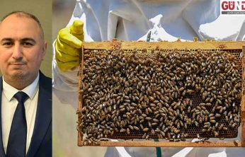 Coğrafi işaret balların niteliğini ve katma değerini arttırıyor