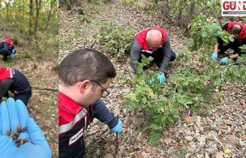 Edirne'de tarım ekiplerinden süneye karşı titiz mücadele