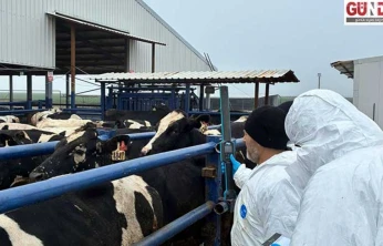 Ekipler hayvan sağlığı taraması çalışmalarını sürdürüyor