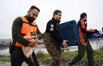 Ekipler, hayvanları sel suyundan kurtardı