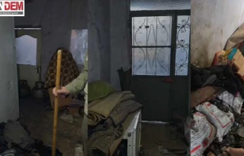 'Fareli Ev'de Yaşam Mücadelesi