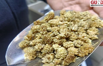 Faydasını duyan aktara koşuyor