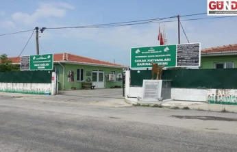 Gözaltına alınan belediye personeli serbest bırakıldı