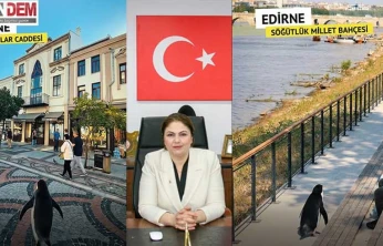 İba'dan Edirne'yi tanıtan 'Nihilist penguen' paylaşımı