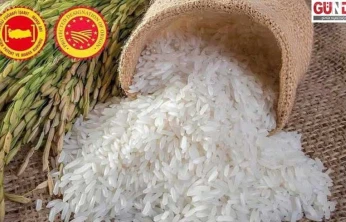 İpsala pirince resmî tescil