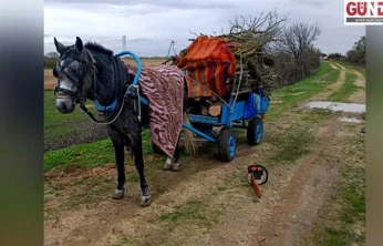 İzinsiz ağaç kesen 2 kişi gözaltına alındı