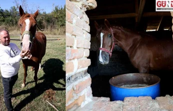 Kanseri yenen eski jokey, köyünde şampiyon atlar yetiştiriyor