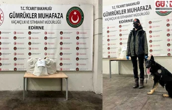 Kapıkule'de otomobilde gizlenmiş 22 kilo 662 gram esrar yakalandı