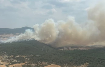 Keşan'da orman yangını söndürüldü