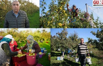 Kuzucu'daki meyve bahçeleri, kent çiftçisine alternatif gelir kaynağı oluyor