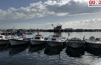 Lodosun ardından balıkçılar ava çıkabildi