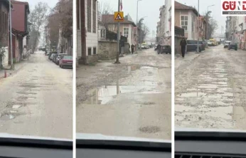 Maarif Caddesi tarlaya döndü