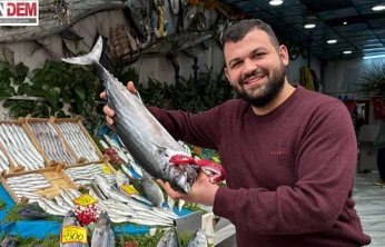 Marmara'da yıllar sonra torik bereketi yaşanıyor