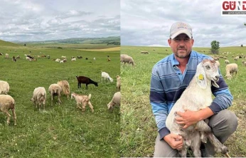 'Mera hayvancılık üretimi için çok önemli'