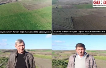 Mera ıslahı hayvancılığa can suyu oldu