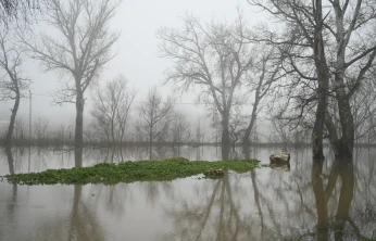 Meriç Nehri'nde risk azalıyor
