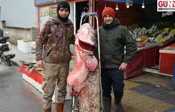 Meriç'te 102 kilogramlık yayın balığı yakalandı
