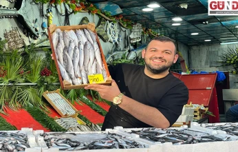 Palamut Tezgâhlarda Yerini Hamsiye Bıraktı