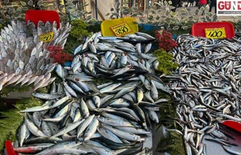 Sıcak hava balık bolluğunu azalttı