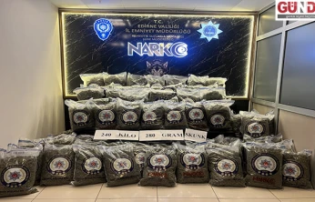 Sınırda büyük operasyon: Tırda 240 kilo skunk bulundu