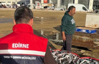 Su ürünleri sıkı denetimden geçiriliyor