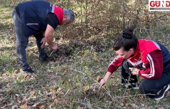 Süne ile mücadele çalışmaları sürüyor