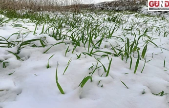 Trakya'da üretici yağışlarla rahat bir nefes aldı