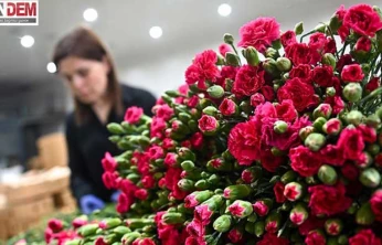 Yaman, 'Çırak yetişmezse meslek birkaç yıla yok olacak'