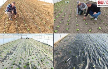 Yeni nesil seralar tarımsal üretime ivme kazandırdı