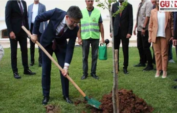 Yeşil Vatan seferberliği hız kesmiyor: 517 milyon fidan dikildi