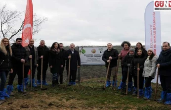 Yukarıkılıçlı'da hatıra ormanı oluşturuldu