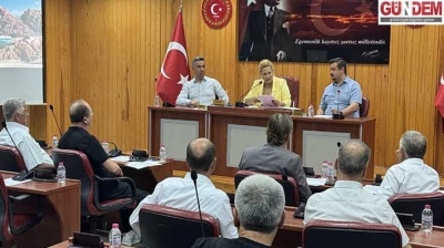 2 bin 860 sahipsiz köpek barınağa ulaştırıldı