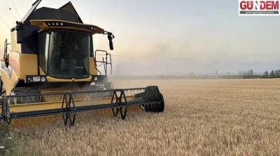 Bayazıt, 'Buğday hasadın yüzde 98'i tamamlandı'